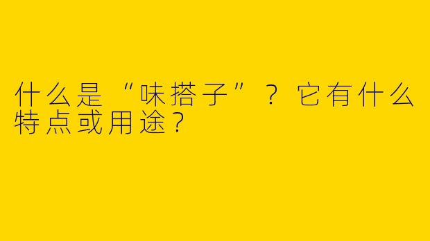 什么是“味搭子”？它有什么特点或用途？