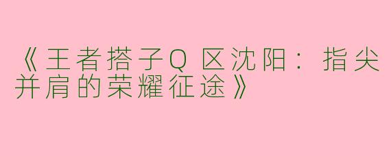 《王者搭子Q区沈阳：指尖并肩的荣耀征途》