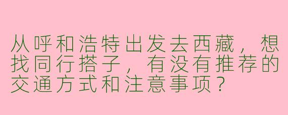 从呼和浩特出发去西藏，想找同行搭子，有没有推荐的交通方式和注意事项？