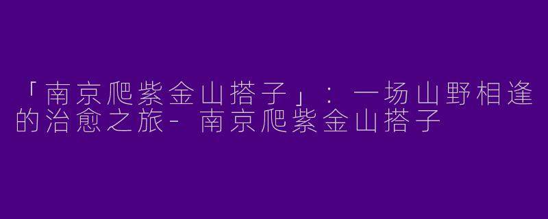 「南京爬紫金山搭子」：一场山野相逢的治愈之旅-南京爬紫金山搭子
