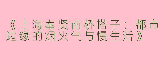 《上海奉贤南桥搭子：都市边缘的烟火气与慢生活》