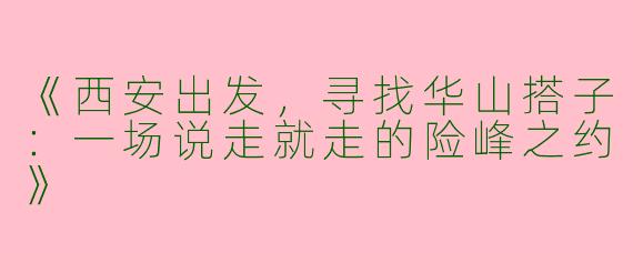 《西安出发，寻找华山搭子：一场说走就走的险峰之约》