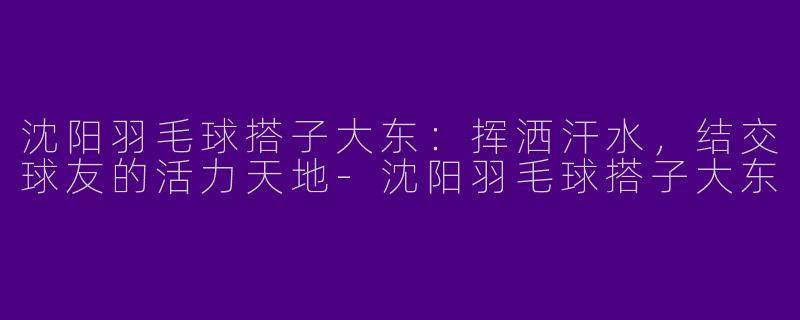 沈阳羽毛球搭子大东：挥洒汗水，结交球友的活力天地