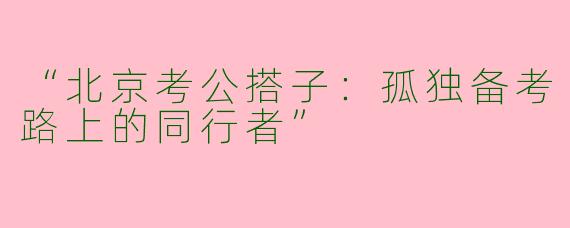 “北京考公搭子:孤独备考路上的同行者”