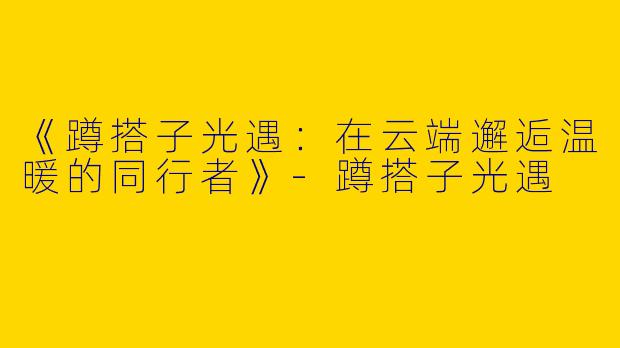 《蹲搭子光遇：在云端邂逅温暖的同行者》