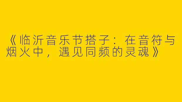 《临沂音乐节搭子：在音符与烟火中，遇见同频的灵魂》