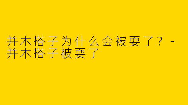 并木搭子为什么会被耍了？