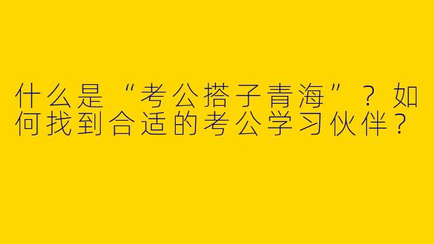 什么是“考公搭子青海”？如何找到合适的考公学习伙伴？
