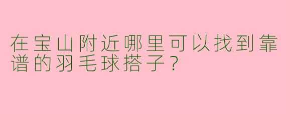 在宝山附近哪里可以找到靠谱的羽毛球搭子?