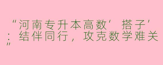 “河南专升本高数‘搭子’：结伴同行，攻克数学难关”