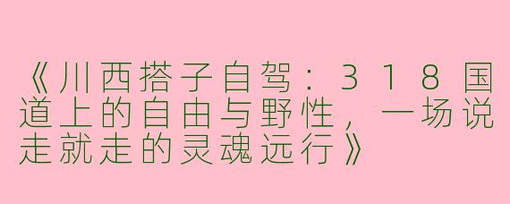 《川西搭子自驾：318国道上的自由与野性，一场说走就走的灵魂远行》
