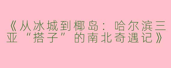 《从冰城到椰岛：哈尔滨三亚“搭子”的南北奇遇记》
