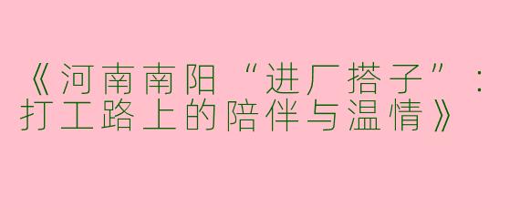 《河南南阳“进厂搭子”：打工路上的陪伴与温情》