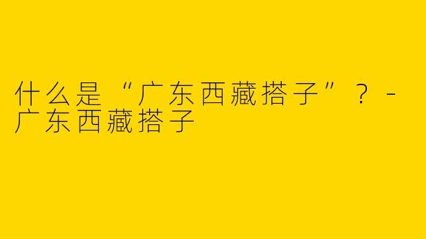 什么是“广东西藏搭子”？