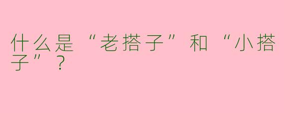什么是“老搭子”和“小搭子”？