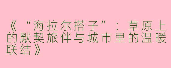 《“海拉尔搭子”：草原上的默契旅伴与城市里的温暖联结》
