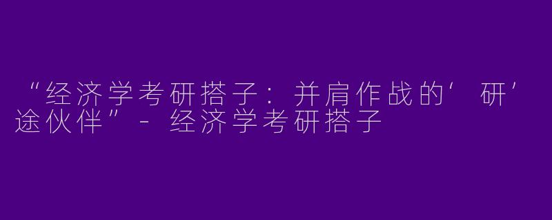 “经济学考研搭子：并肩作战的‘研’途伙伴”-经济学考研搭子