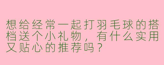 想给经常一起打羽毛球的搭档送个小礼物，有什么实用又贴心的推荐吗？