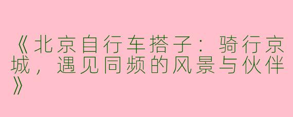 《北京自行车搭子：骑行京城，遇见同频的风景与伙伴》