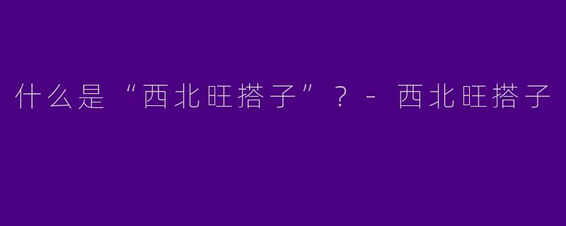 什么是“西北旺搭子”？-西北旺搭子