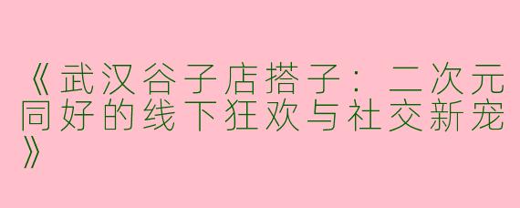 《武汉谷子店搭子：二次元同好的线下狂欢与社交新宠》