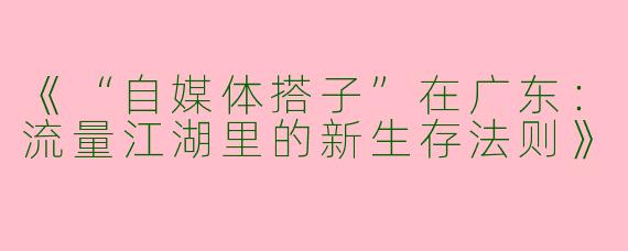 《“自媒体搭子”在广东：流量江湖里的新生存法则》
