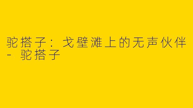 驼搭子：戈壁滩上的无声伙伴-驼搭子