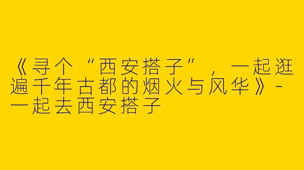 《寻个“西安搭子”，一起逛遍千年古都的烟火与风华》-一起去西安搭子
