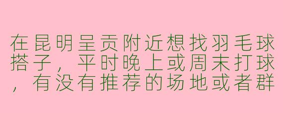 在昆明呈贡附近想找羽毛球搭子，平时晚上或周末打球，有没有推荐的场地或者群组可以加入？