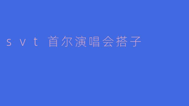 svt首尔演唱会搭子