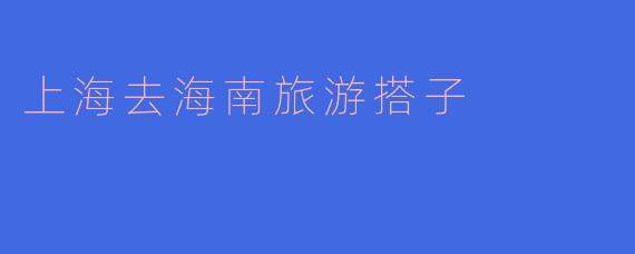 上海去海南旅游搭子
