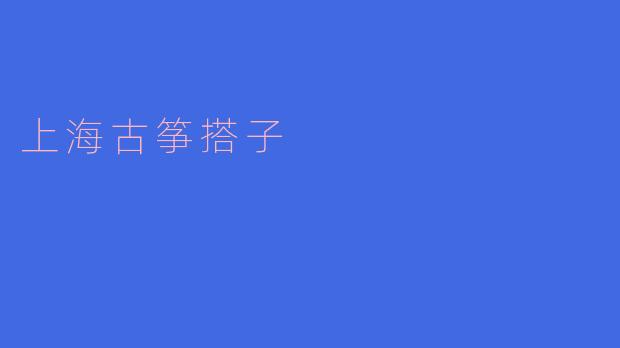 上海古筝搭子