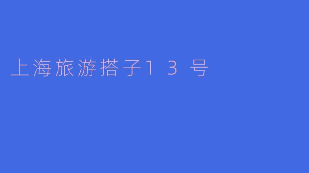 上海旅游搭子13号