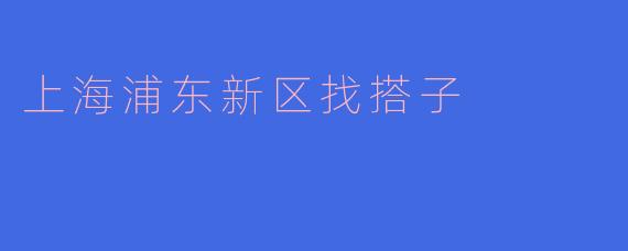 上海浦东新区找搭子