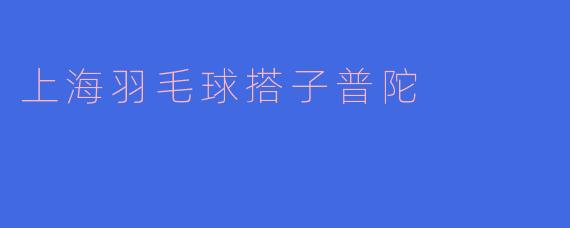 上海羽毛球搭子普陀