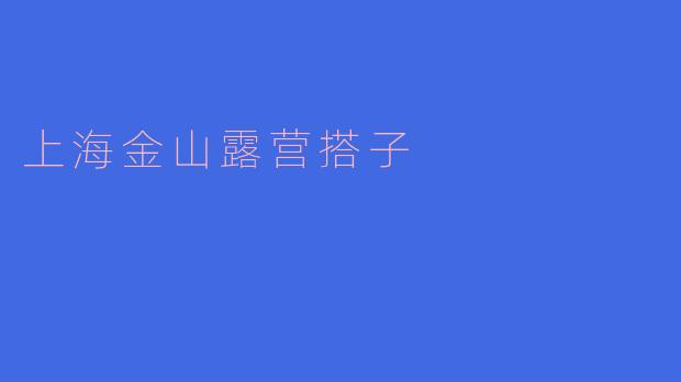 上海金山露营搭子
