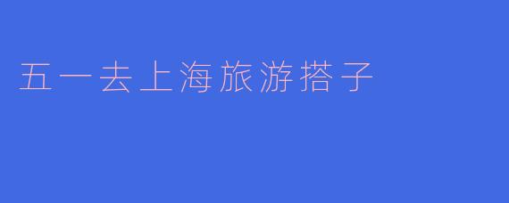 五一去上海旅游搭子