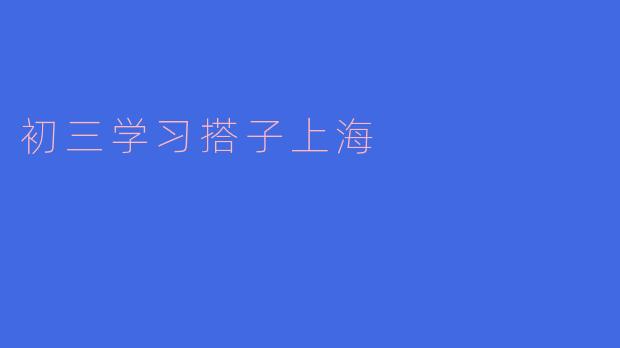 初三学习搭子上海
