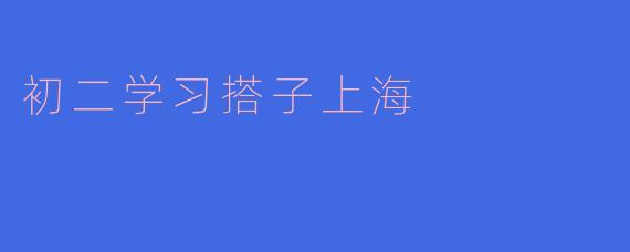 初二学习搭子上海