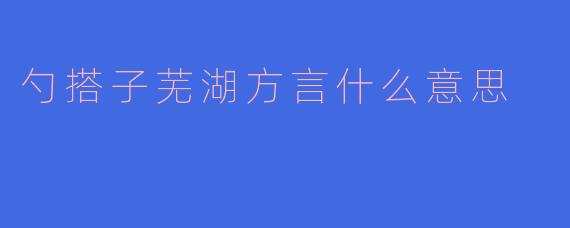 勺搭子芜湖方言什么意思