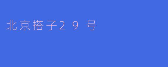 《北京搭子29号：都市青年的社交新浪潮》