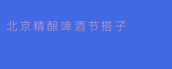 北京精酿啤酒节搭子