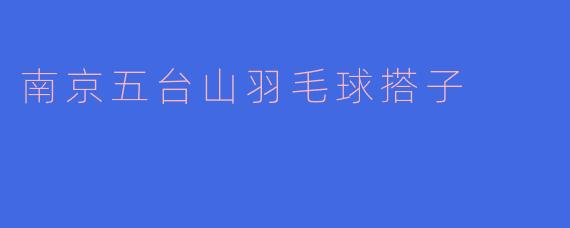 南京五台山羽毛球搭子