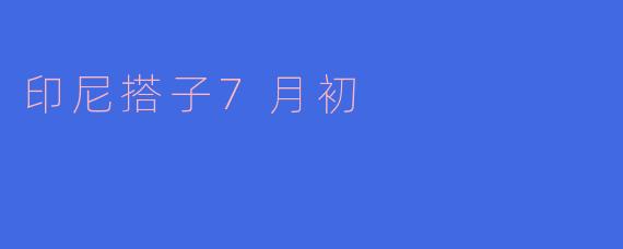 印尼搭子7月初