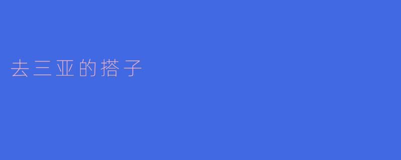 去三亚的搭子
