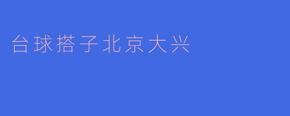 台球搭子北京大兴