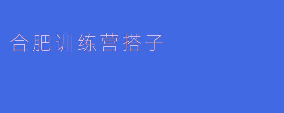 《合肥训练营搭子：并肩前行的成长伙伴》