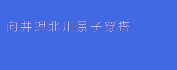 向井理北川景子穿搭