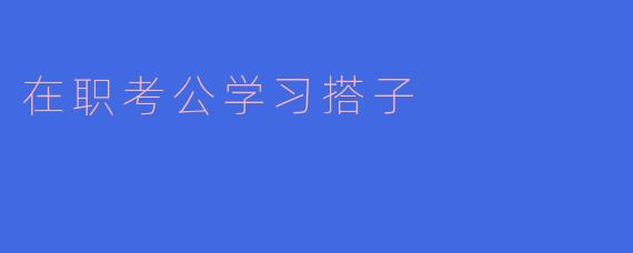 《"在职考公学习搭子"：并肩作战，让备考之路不再孤单》