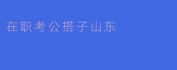 在职考公的山东搭子，如何高效平衡工作和备考？